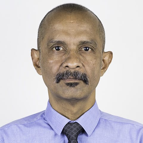 eolimn image